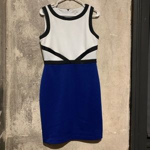 Calvin Klein Dress